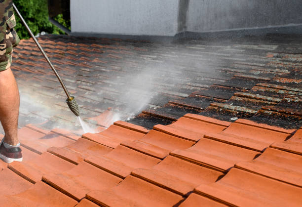 Best Local Pressure Washing Services  in Montgomery, MN