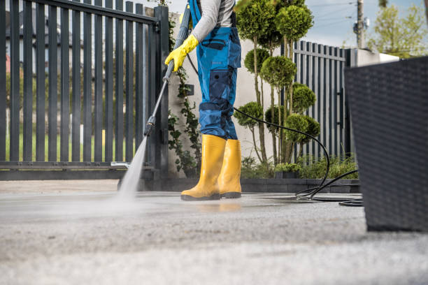 Best Residential Pressure Washing Services  in Montgomery, MN