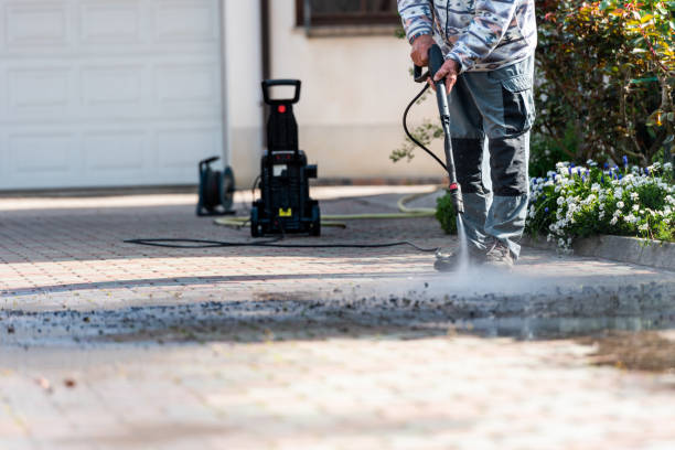 Best Power Washing Near Me  in Montgomery, MN