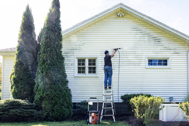 Best Roof Pressure Washing  in Montgomery, MN