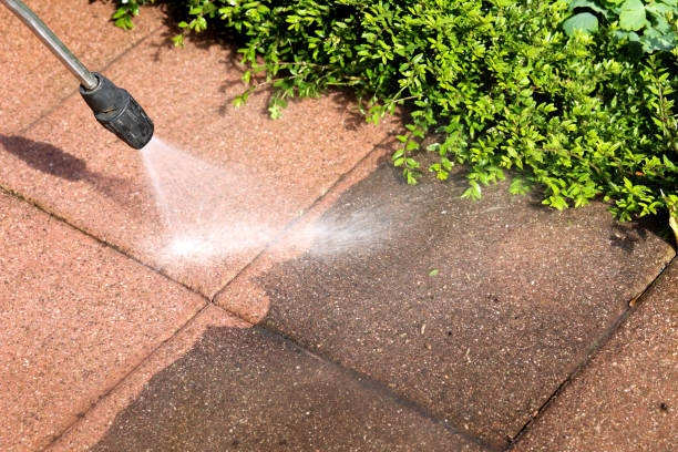 Best Roof Power Washing Services  in Montgomery, MN