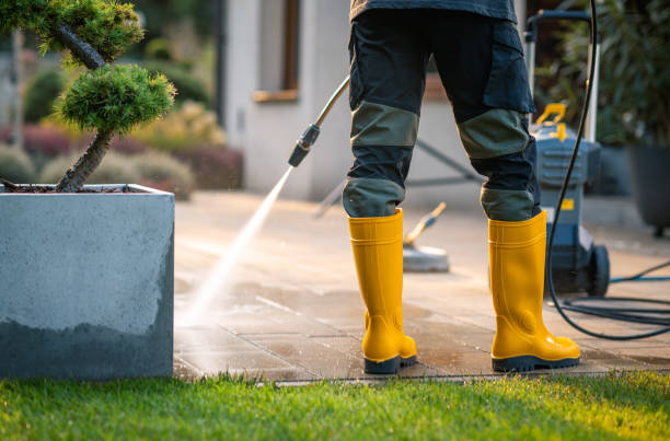 Best Affordable Pressure Washing  in Montgomery, MN